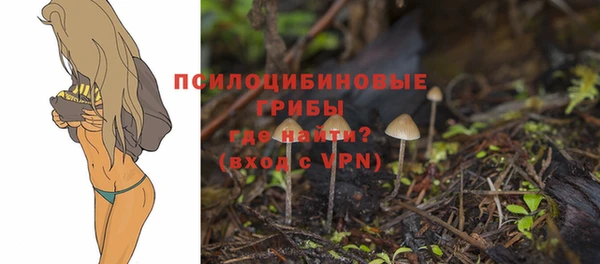 марки lsd Алексин