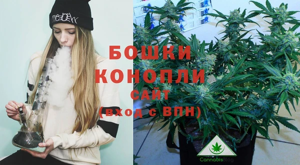 шишки Арсеньев