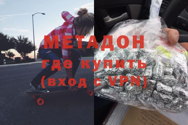 шишки Арсеньев