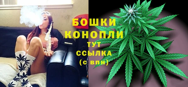 шишки Арсеньев