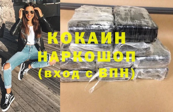 шишки Арсеньев