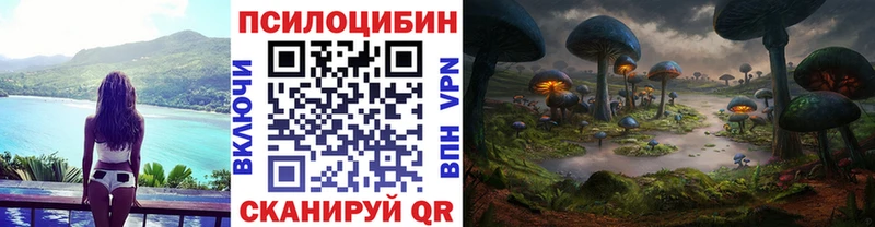 цены Россошь это официальный сайт Псилоцибиновые грибы Magic Shrooms